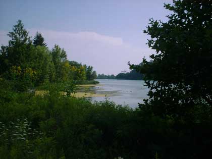 Grenadier Pond, High Park Toronto