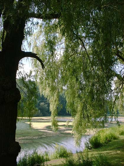 South End Of High Park Toronto Ontario